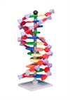 Molekylebyggesæt  Molymod DNA lille