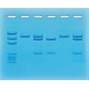 Kit Covid-19 test RT-PCR Edvotek 123